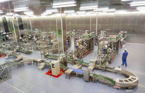 全国绿色食品三产融合发展园落户大连盐化集团 探索地产开发新模式